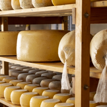 Visit to the Majorero Cheese Museum and La Acogida