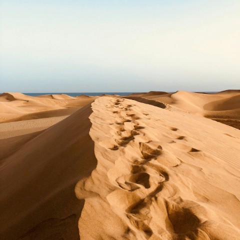 Discover the Maspalomas Dunes and Mogán Port