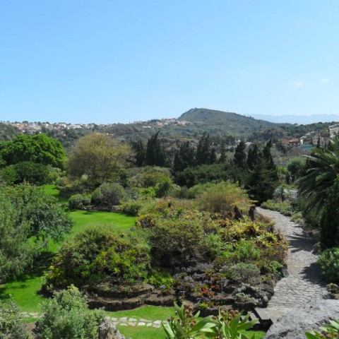 Explore the Bandama Crater and the Botanical Garden