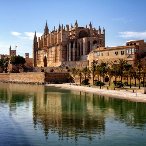 Historic Palma from end to end, with the Cathedral and Bellver Castle