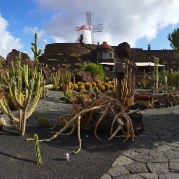 Discover the Cactus Garden and Punta Mujeres